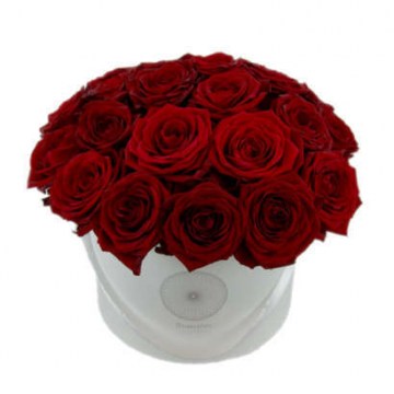20 száűl vörös rózsa